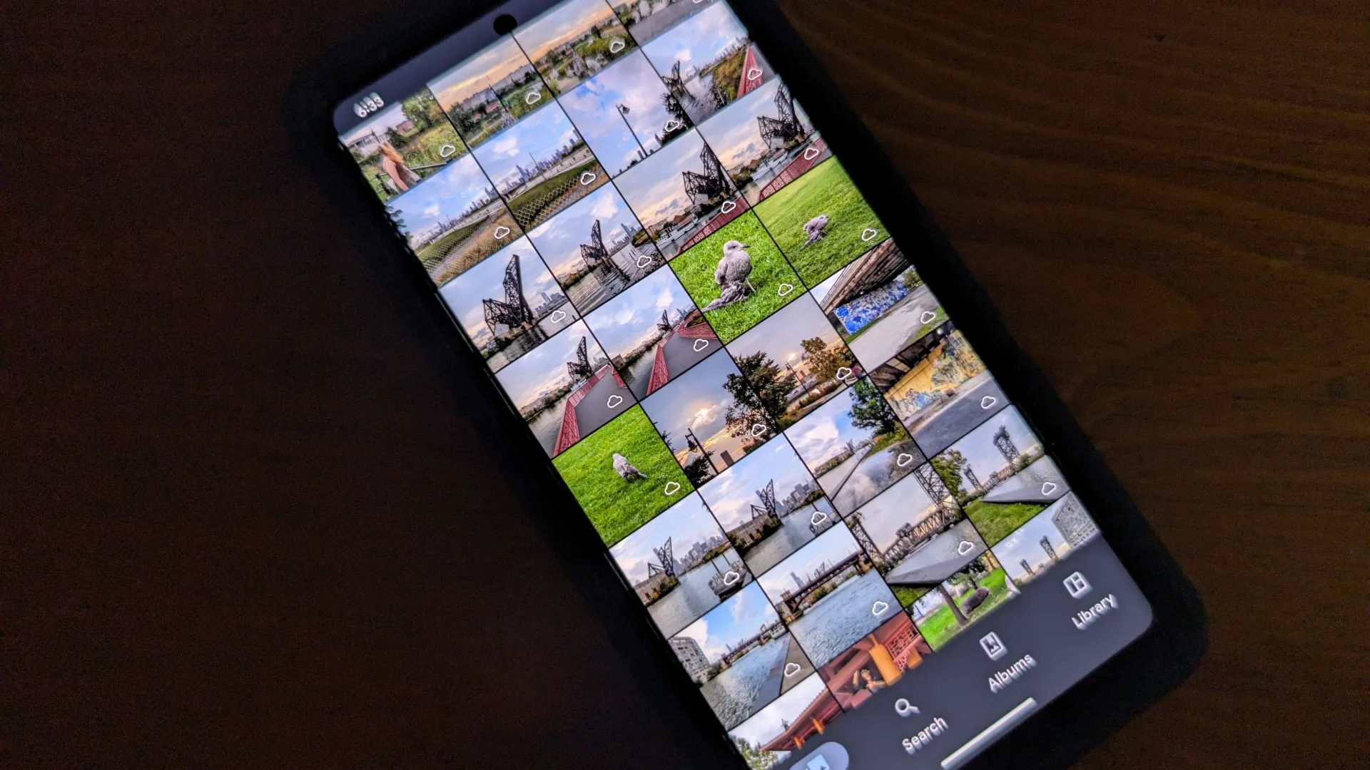 Immich timeline displayed on a phone sitting on a wooden desk