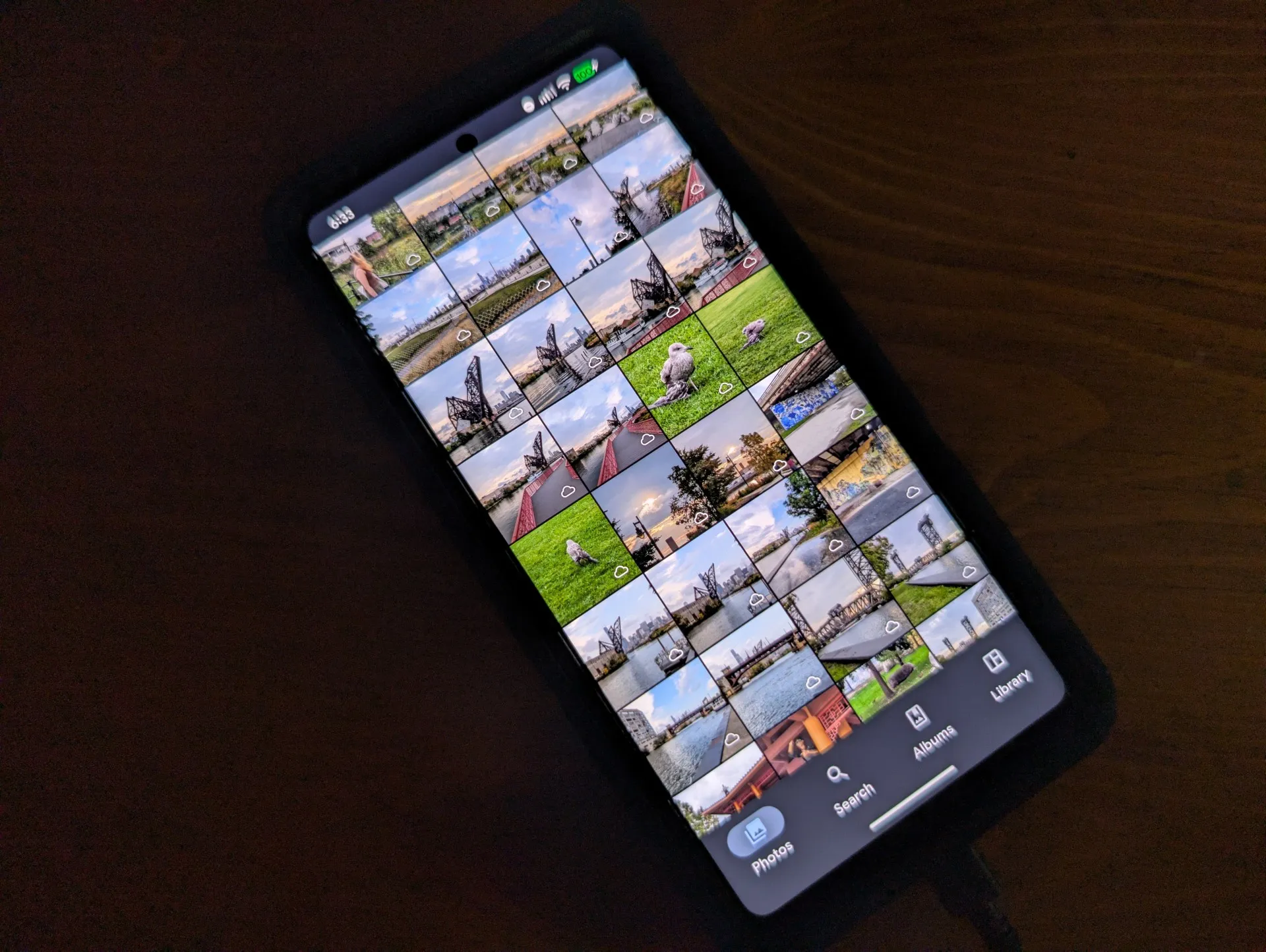 Immich timeline displayed on a phone sitting on a wooden desk