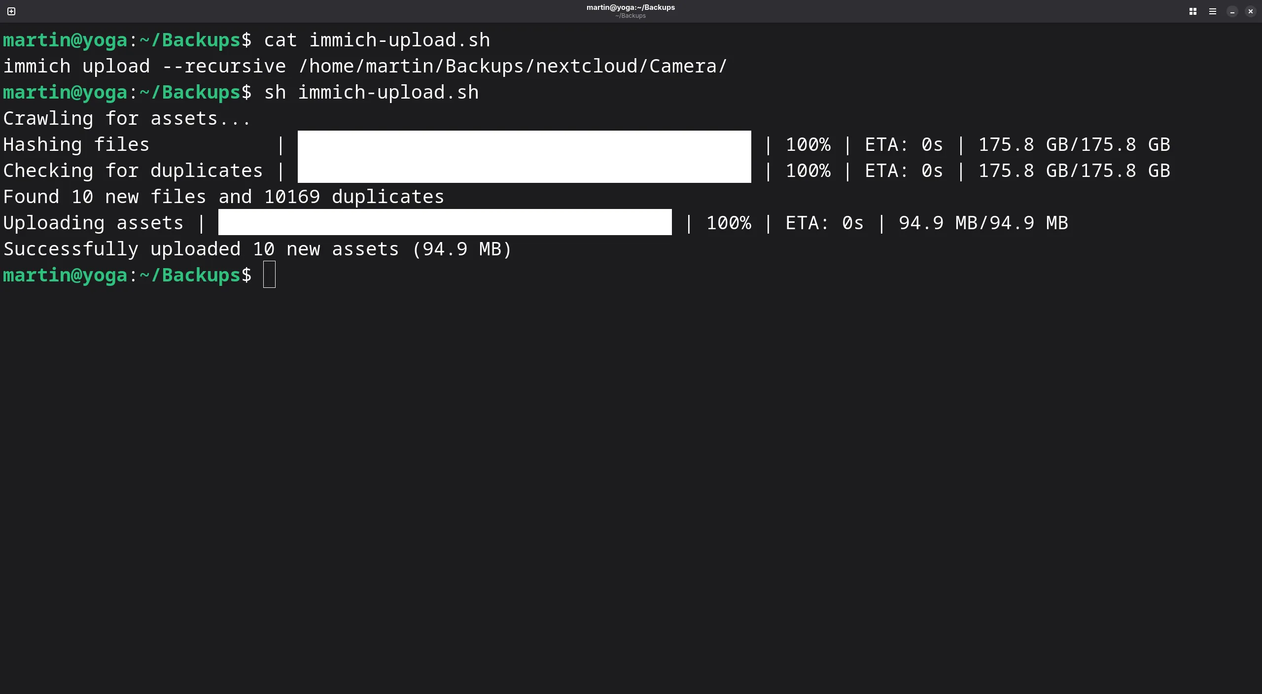 Immich CLI upload results